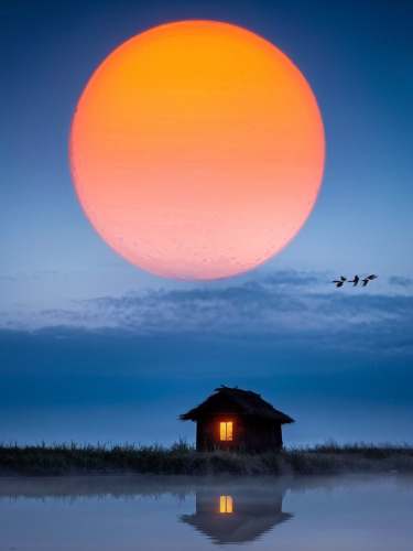 lonley-house-freewebnuaiart