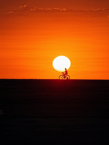 sun-day-freewebnuaiart