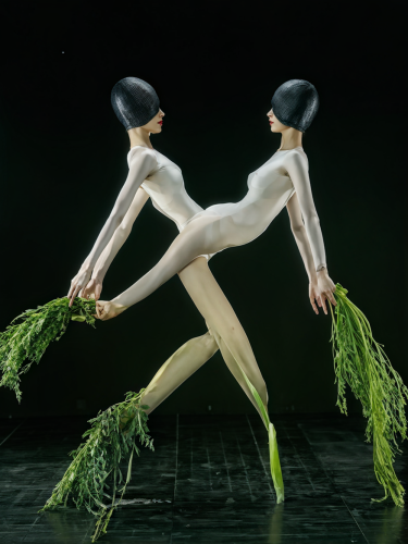 surreal-pose-freewebnuaiart