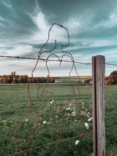 barb-wire-female-freewebnuaiart