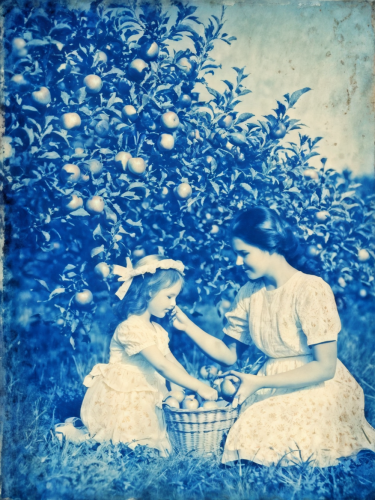 14-picking-apples-freewebnuaiart