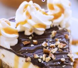 No Bake Turtle Cheesecake 0 (0)